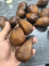 優(yōu)味集【順豐/JD】印尼蛇皮果新鮮進(jìn)口罕見(jiàn)記憶果稀有熱帶時(shí)令孕婦水果 1斤 商超大果（單果30g+） 曬單實(shí)拍圖