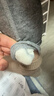紅豆兒童保暖內衣男女童加絨加厚秋衣秋褲學(xué)生校服神器 灰色 140 曬單實(shí)拍圖