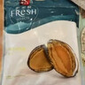 東上御品 山東 新鮮熟凍國產(chǎn)大鮑魚(yú)凈重430g（10-12頭/斤）*1袋-源頭直發(fā) 曬單實(shí)拍圖
