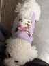 湯尼熊 TAWNEYBEAR狗狗衣服秋冬毛衣連帽可愛(ài)雪納瑞泰迪臘腸比熊約克夏馬爾濟斯博美 連帽無(wú)袖毛衣【斑點(diǎn)狗-紫色】 XL丨背長(cháng)36胸圍53建議14-17斤 曬單實(shí)拍圖
