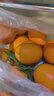 重慶奉節臍橙新鮮應季水果香甜多汁福本臍橙皮薄手剝橙子整箱批發(fā) 奉節臍橙【凈重10斤】 【單果280-400克一個(gè)】 曬單實(shí)拍圖