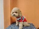萌嘟星寵 貓咪狗狗衣服冬季比熊泰迪博美小型犬新年毛衣寵物保暖秋冬裝M號 曬單實(shí)拍圖