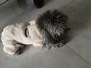曇蓓漫泰迪衣服寵物小型犬狗狗衣服秋冬季保暖比熊博美幼犬四腳牽引狗衣 淺棕色M碼（建議4-6斤） 升級優(yōu)質(zhì)珊瑚絨-【加絨加厚】 曬單實(shí)拍圖