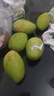 甜萌果蔬金煌芒芒果【多地次日達】當季現摘海南大芒果新鮮水果青芒果整箱 5斤（A+優(yōu)選果）【單果約180g】?jì)?.5斤 曬單實(shí)拍圖