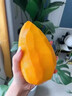 海南金煌芒水仙芒果新鮮大果熱帶當季現摘現發(fā)大青芒 中果【帶箱9.11-10斤】 曬單實(shí)拍圖