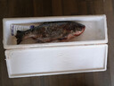 查干湖魚(yú)現貨 冬捕有機胖頭魚(yú)3.5-4.4斤1條 年貨禮盒年夜飯 源頭直發(fā) 曬單實(shí)拍圖