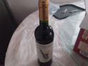 歸星(GEOTHIM)澳洲原瓶進(jìn)口干紅葡萄酒單瓶嘗鮮裝750ml紅酒年貨送禮物 曬單實(shí)拍圖