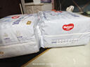 好奇（Huggies）金裝拉拉褲XXL74(15kg以上)尿不濕【速干不易紅】 曬單實(shí)拍圖