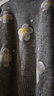 絲柏舍圓領(lǐng)針織衫2026春裝新款女裝寬松款花朵圖案套頭上衣 曬單實(shí)拍圖