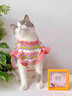 阿莫爾小貓咪衣服冬裝寵物毛衣布偶銀漸層小型犬加厚可愛(ài)衛衣貓貓防掉毛 花朵毛衣 S（建議3-5斤 參考胸圍背長(cháng)） 曬單實(shí)拍圖