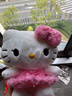 名創(chuàng  )優(yōu)品（MINISO）三麗鷗Hello Kitty凱蒂貓玫瑰之約毛絨公仔玩具玩偶抱枕生日禮物 曬單實(shí)拍圖