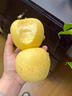 桃西村山東維納斯蘋(píng)果 黃焦蘋(píng)果黃胖子雀斑黃元帥糖心蘋(píng)果新鮮水果禮盒 10枚 精選大果80mm【禮盒裝】順豐 曬單實(shí)拍圖