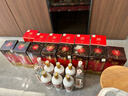瀘州老窖 六年窖頭曲 濃香型白酒 52度500ml*2瓶 蛇轉錢(qián)坤禮盒 曬單實(shí)拍圖