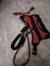 五尾一角【加長(cháng)2米繩】狗繩狗鏈柯基胸背帶牽引繩中大型小型犬遛狗繩柴犬 紅色 L（建議40-60斤） 曬單實(shí)拍圖