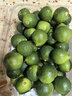 果齋園 海南小青金桔 新鮮金桔 當季新鮮青桔青橘水果酸桔酸爽皮薄多汁 1斤裝 發(fā)圓通 曬單實(shí)拍圖