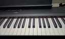 雅馬哈（YAMAHA）電鋼琴 P225成人88鍵重錘兒童初學(xué)家用專(zhuān)業(yè)考級便攜式電鋼琴P125 P225黑色+定制木架+三踏（琴凳禮包咨詢(xún)客服加購） 曬單實(shí)拍圖