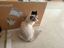 霍尼韋爾（Honeywell）寵物貓用空氣凈化器吸貓毛除甲醛異味過(guò)敏源殺菌消毒母嬰級0臭氧泄漏KJ520F-C22W 霍哈寶H-Cat Hub 曬單實(shí)拍圖