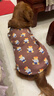 狗狗衣服中大型犬金毛冬季加厚裝拉布拉多柯基加絨保暖薄絨衛衣 棕底VWPET熊 6XL(胸圍95cm 65-80斤) 曬單實(shí)拍圖