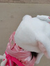 OIMG耳朵會(huì )動(dòng)可愛(ài)兔耳朵兒童帽子圍巾一體冬季女孩毛絨護耳保暖雷鋒帽 卡通兔白色三件套【耳朵會(huì )動(dòng)】 曬單實(shí)拍圖