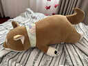 LIV HEART柴犬睡覺(jué)抱枕公仔狗毛絨兒童玩具玩偶哄陪睡娃娃禮物女生送禮 小太柴犬 單只M號 曬單實(shí)拍圖