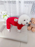 小凍狗狗四腳衣服秋冬款雪納瑞寵物冬季貓咪中小型犬泰迪比熊冬天服飾 德羅紅招財貓 M （建議5-8斤） 曬單實(shí)拍圖