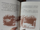 【系列自選】懷特經(jīng)典三部曲 夏洛的網(wǎng)精靈鼠小弟吹小號的天鵝 注音版文字版中英雙語(yǔ)版自選 三四年級小學(xué)生課外閱讀書(shū)籍 上海譯文出版社 【經(jīng)典版全3冊】夏洛的網(wǎng)+精靈鼠小弟+吹小號的天鵝 曬單實(shí)拍圖