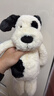 Jellycat【老朋友回歸限量3件】拉弗荻小狗海盜狗黑白小狗毛絨玩偶娃娃 拉弗荻小狗 Medium 曬單實(shí)拍圖