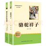 駱駝祥子 鋼鐵是怎樣煉成的 七年級下冊初中語(yǔ)文教材名著(zhù)導讀推薦閱讀書(shū)目 初一中學(xué)生課外閱讀名著(zhù)套 曬單實(shí)拍圖