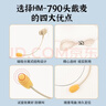 得勝（TAKSTAR）HM-790 可拆御頭戴式麥克風(fēng) 小蜜蜂有線(xiàn)耳麥擴音器專(zhuān)用頭戴耳麥 可頭戴手持領(lǐng)夾三合一 曬單實(shí)拍圖