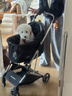 beberoad T4寵物推車(chē)一鍵折疊輕便貓咪狗狗小型犬外出 減震四輪一體收車(chē) T4黑色-固定座位一體折疊（順豐發(fā)貨） 曬單實(shí)拍圖