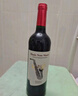 CANIS FAMILIARIS布多格原瓶進(jìn)口紅酒 西拉干紅葡萄酒 750ml 單瓶裝 曬單實(shí)拍圖