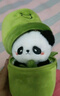 Murcia竹筒熊貓玩偶公仔毛絨玩具仿真小熊花花兒童男女生日禮物送孩子 曬單實(shí)拍圖
