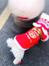 阿莫爾狗狗衣服寵物秋冬新年喜慶醒獅保暖加厚泰迪博美比熊中小型犬衣服 新年唐裝-非遺舞獅【親膚保暖】 S【建議3-4斤 具體參考胸圍背長(cháng)】 曬單實(shí)拍圖