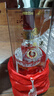 五糧液 普五 第七代 濃香型白酒 52度500ml*2瓶 送禮 出口版 官方授權 曬單實(shí)拍圖