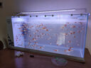 長(cháng)銳側濾魚(yú)缸桌面辦公室免換水生態(tài)水草超白水族箱 K800標配版【長(cháng)80 寬30 高40】 曬單實(shí)拍圖