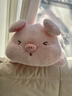 侶隨禮伴原創(chuàng  )抱抱小豬抱枕玩偶女生睡覺(jué)夾腿專(zhuān)用床上側睡毛絨玩具公仔靠枕 抱抱豬 50CM 曬單實(shí)拍圖