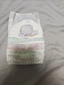 幫寶適袋鼠褲紙尿褲新生兒嬰兒尿不濕尿片 超薄透氣夜用 L29 曬單實(shí)拍圖