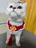 OSKV貓咪新年圍脖紅色圍巾保暖國風(fēng)手工編織春節裝扮狗狗口水巾圍兜 福字圍脖【主圖款】 均碼【25cm】 曬單實(shí)拍圖