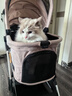 beberoad  T4寵物推車(chē)貓咪狗狗小型犬提籃車(chē)架一鍵折疊輕便外出寵物小推車(chē) T4米色-固定座位一體折疊（順豐發(fā)貨） 曬單實(shí)拍圖