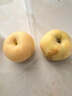 立始山東煙臺奶油蘋(píng)果應季水果新鮮水果特產(chǎn) 奶油凈重 4.5斤 (150g起,9-12個(gè)) 曬單實(shí)拍圖