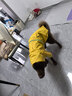 COCS狗狗雨衣中大型犬 寵物雨衣小狗雨衣 邊牧衣服狗狗沖鋒衣雨披全包 黃色 3XL號建議體重28-48斤 曬單實(shí)拍圖