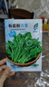板藍根油菜種子青菜種子疏菜白灼油菜苔田園庭院陽(yáng)臺盆栽植物蔬菜 板藍根青菜種子 一包約1000粒 曬單實(shí)拍圖