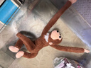 趴長(cháng)臂猴子長(cháng)尾猴公仔猴毛絨玩具婚慶拋灑創(chuàng  )意掛窗簾玩偶車(chē)載吊猴 棕色款【全長(cháng)43厘米左右】 曬單實(shí)拍圖