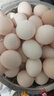 憶鄉嶺雞蛋 散養谷物蛋 農家山林喂養 初生鮮土雞蛋 50枚2000g裝 曬單實(shí)拍圖