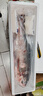 查干湖魚(yú)現貨冬捕有機胖頭魚(yú)9.5-10.4斤1條 春節年貨禮盒年夜飯源頭直發(fā) 曬單實(shí)拍圖
