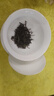 京華8號茉莉花茶濃香型老北京特色花茶茶葉自飲口糧茶250g*2 曬單實(shí)拍圖