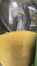 十月稻田 赤峰黃小米 5斤 內蒙古敖漢旗 敖漢黃小米雜糧粥 低脂粗糧 早餐 曬單實(shí)拍圖