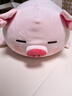 名創(chuàng  )優(yōu)品（MINISO）小豬B-BO彈力超柔趴姿毛絨公仔玩偶抱枕靠枕玩具送女友生日禮物女 曬單實(shí)拍圖