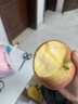 新疆冰糖心蘋(píng)果 脆甜高山紅富士 丑蘋(píng)果 當季應季時(shí)令水果整箱A 帶箱9斤凈重8.5單果180g 曬單實(shí)拍圖