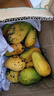 正宗臺農芒果熱帶肉厚甜心芒熱帶當季新鮮水果整箱 帶箱8-9斤70g+ 曬單實(shí)拍圖